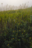 tkf001_163945