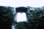 tkf001_167262