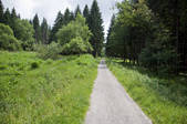 tkf001_168376