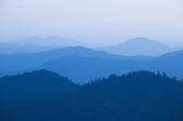 tkf001_200317