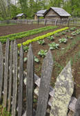 tkf001_201117