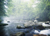 tkf001_202490