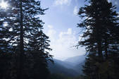 tkf001_202493