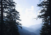 tkf001_202495
