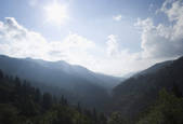 tkf001_202496