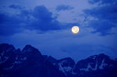 tkf001_205713