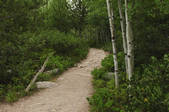 tkf001_205989