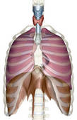 tkf001_217769
