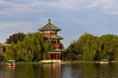 tkf001_300879
