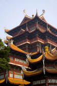 tkf001_306532