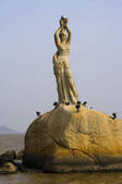 tkf001_306614