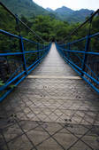 tkf001_306888