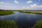 tkf001_307416