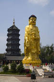 tkf001_308619