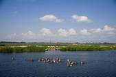 tkf001_308626
