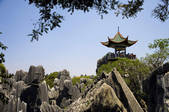 tkf001_308871