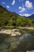 tkf001_308971