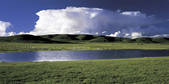 tkf001_309576