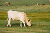 tkf001_310068