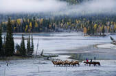 tkf001_310686