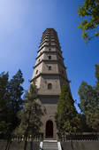 tkf001_311306