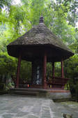 tkf001_312203