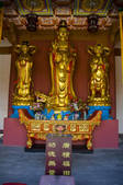 tkf001_312694