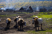 tkf001_312793