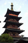 tkf001_313072