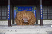 tkf001_324666