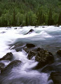 tkf001_336895