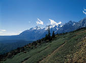 tkf001_337262