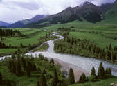 tkf001_337524