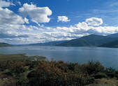 tkf001_337949