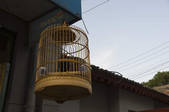 tkf001_338170