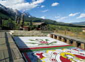 tkf001_338341