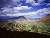 tkf001_338453
