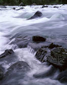 tkf001_338471