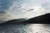 tkf001_875299