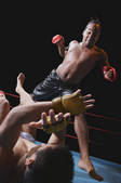 tkf001_343610