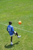 tkf001_343940