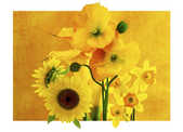 tkf001_392824
