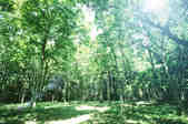 tkf001_396400