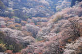 tkf001_396416