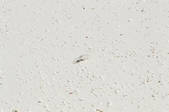 tkf001_752857