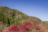 tkf001_754086
