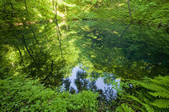 tkf001_754577