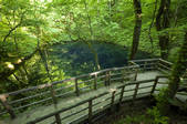 tkf001_754580