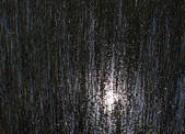 tkf001_755508