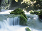 tkf001_755509